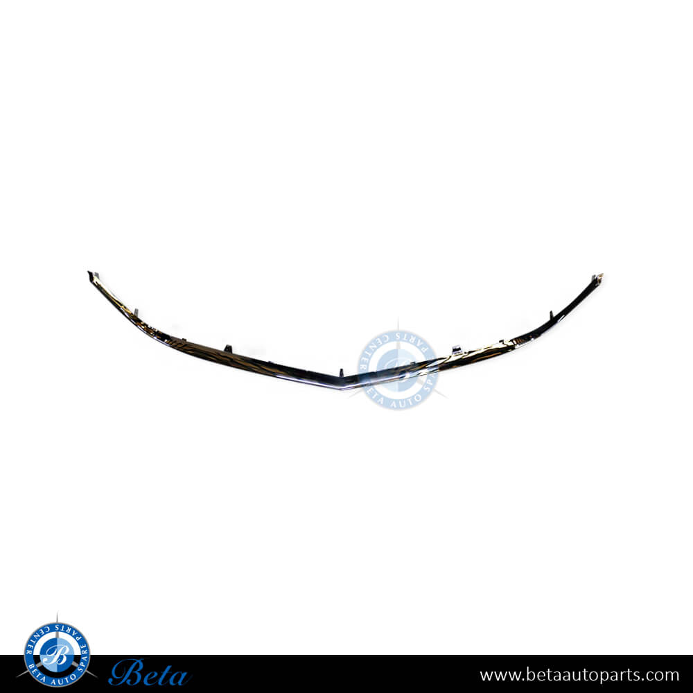 Radiator Grille Frame Chrome Moulding for Mercedes E-Class C207 2014-2016 models, Part Number 2078881385 Radiator Grille Frame Chrome Moulding for Mercedes E-Class C207 2014-2016 models, Part Number 2078881385